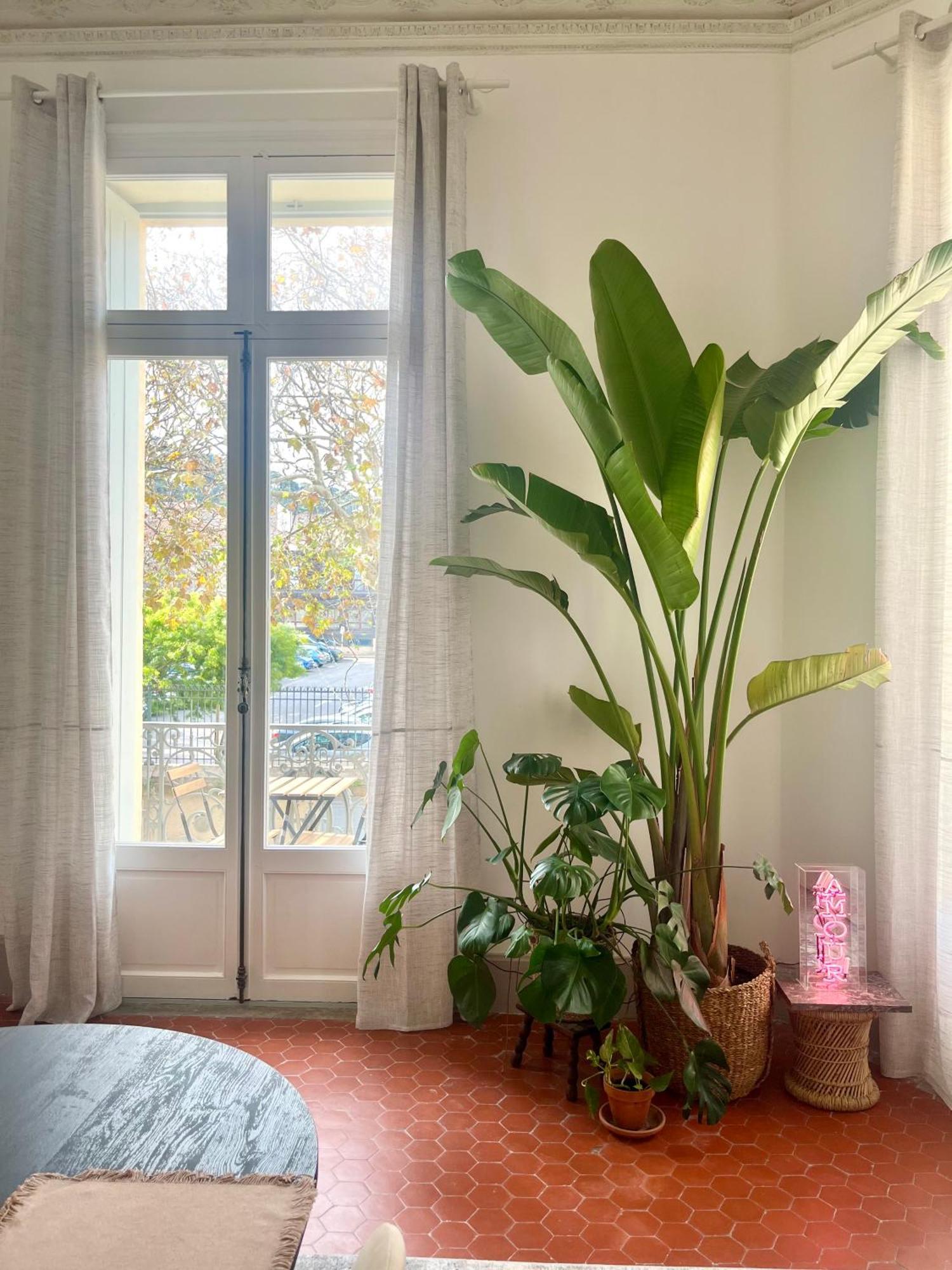 L'Echappee Setoise - Appartement Haussmannien - Localisation Exceptionnelle - Proche Canal Sete Luaran gambar